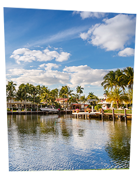 waterfront homes and palm trees
