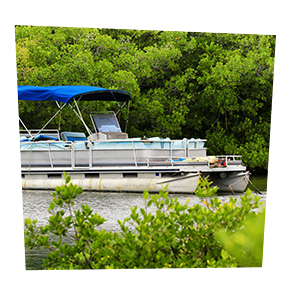 white pontoon boat with blue awning